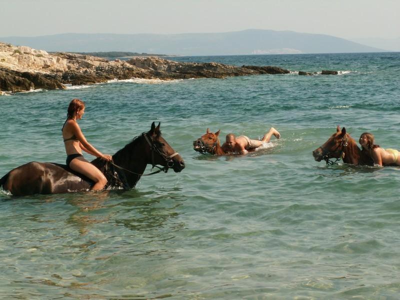 Beach House Ive With Jacuzzi, Pool, Playground And Bbq In An Olive Grove With A Beach, Pomer - Istria Zewnętrze zdjęcie